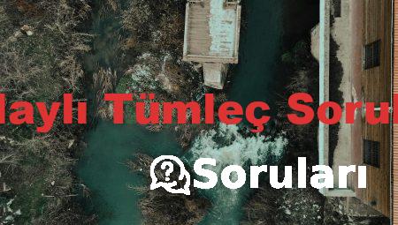 Dolaylı Tümleç Soruları
