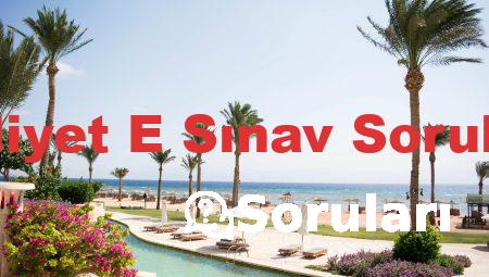 Ehliyet E Sınav Soruları