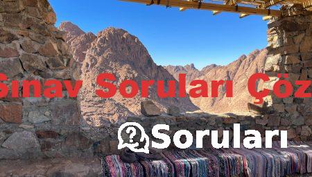 Ehliyet Sınav Soruları Çöz 50 Soru