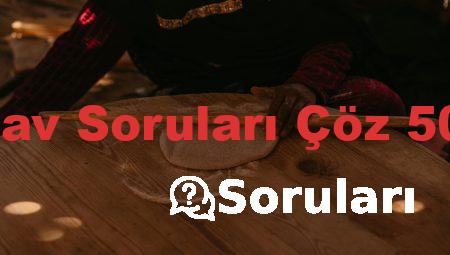 Ehliyet Sınav Soruları Çöz 50 Soru PDF