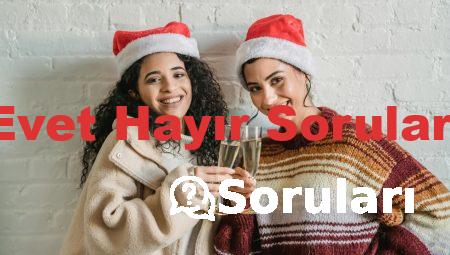 Evet Hayır Soruları