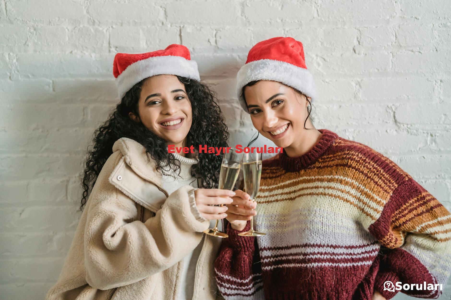 Evet Hayır Soruları