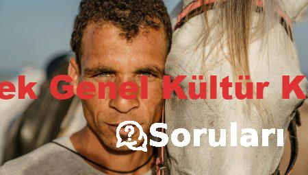Genel Yetenek Genel Kültür KPSS Soruları