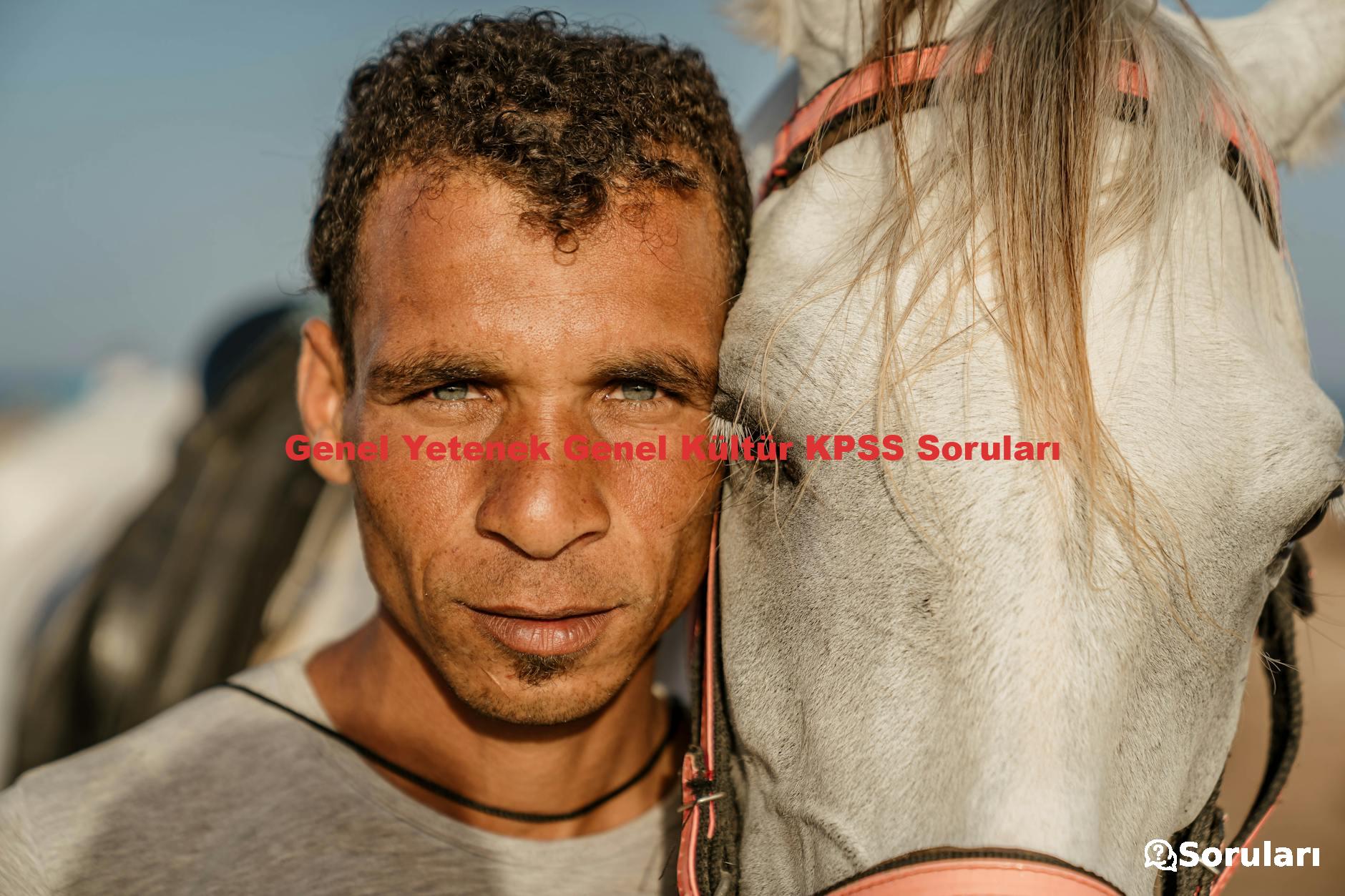 Genel Yetenek Genel Kültür KPSS Soruları