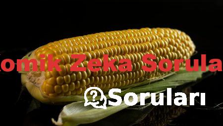 Komik Zeka Soruları