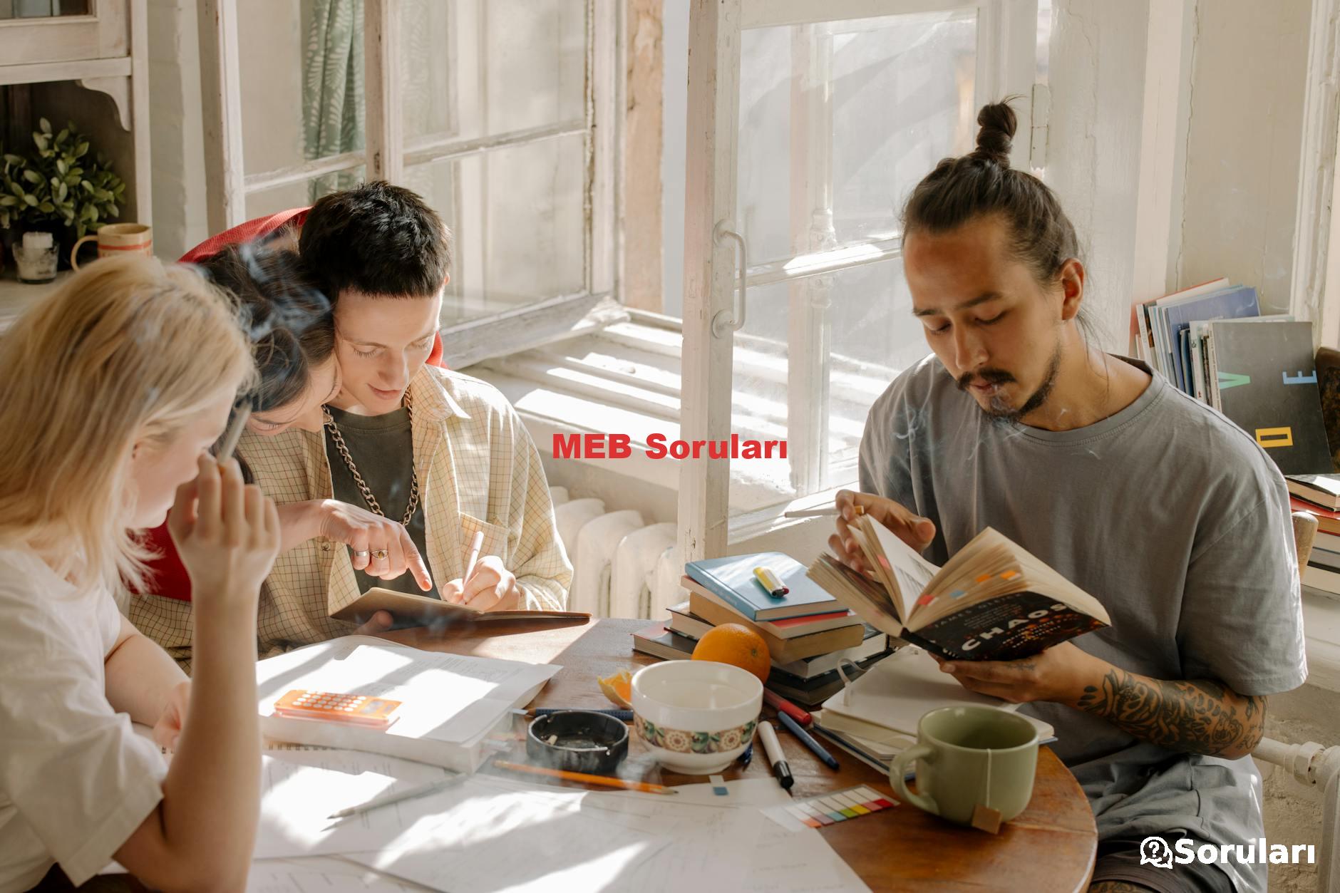 MEB Soruları