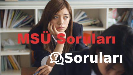 MSÜ Soruları