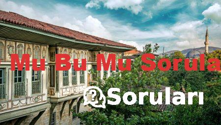 O Mu Bu Mu Soruları