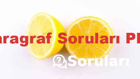 Paragraf Soruları PDF