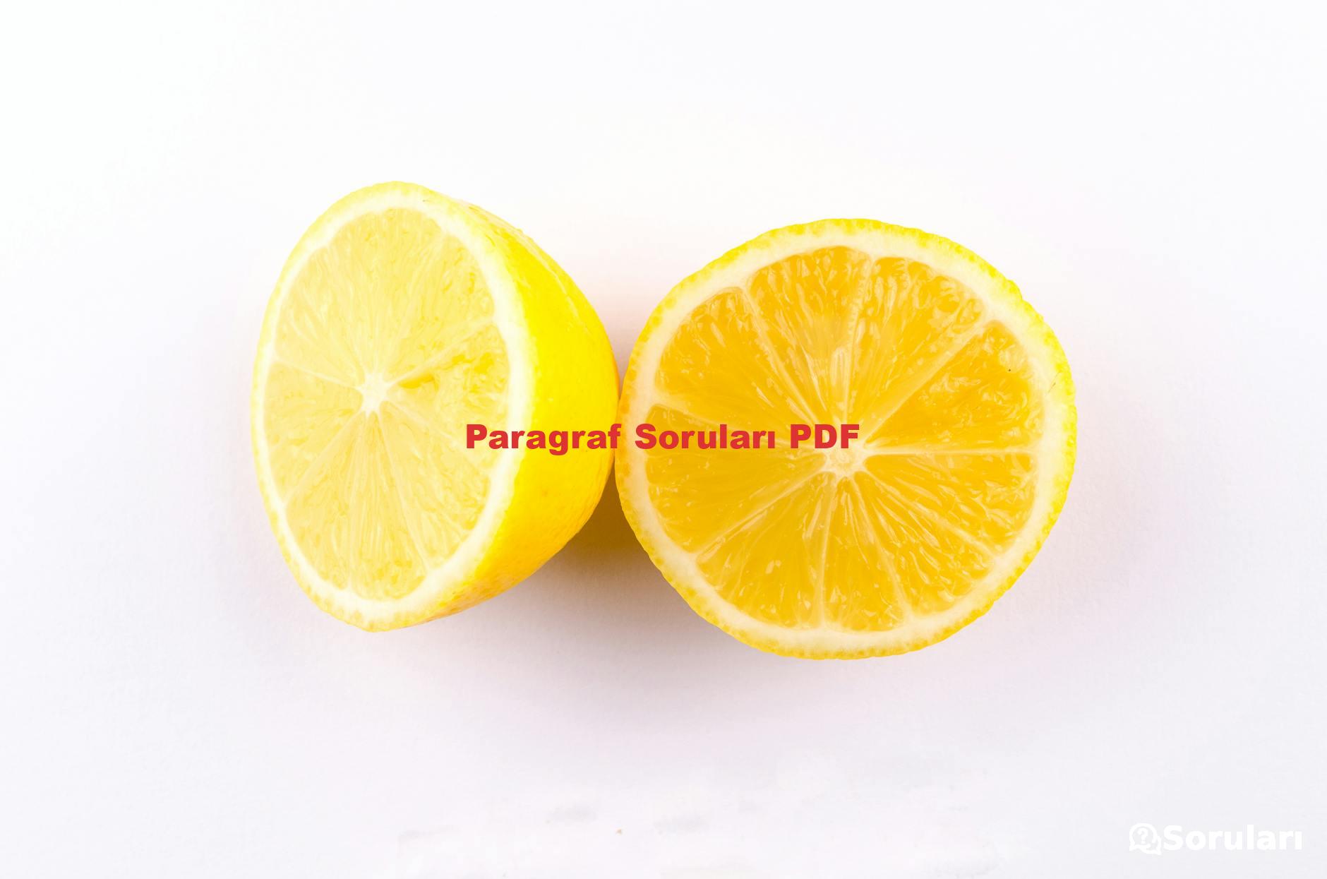 Paragraf Soruları PDF