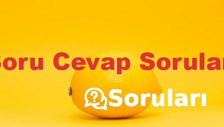 Soru Cevap Soruları