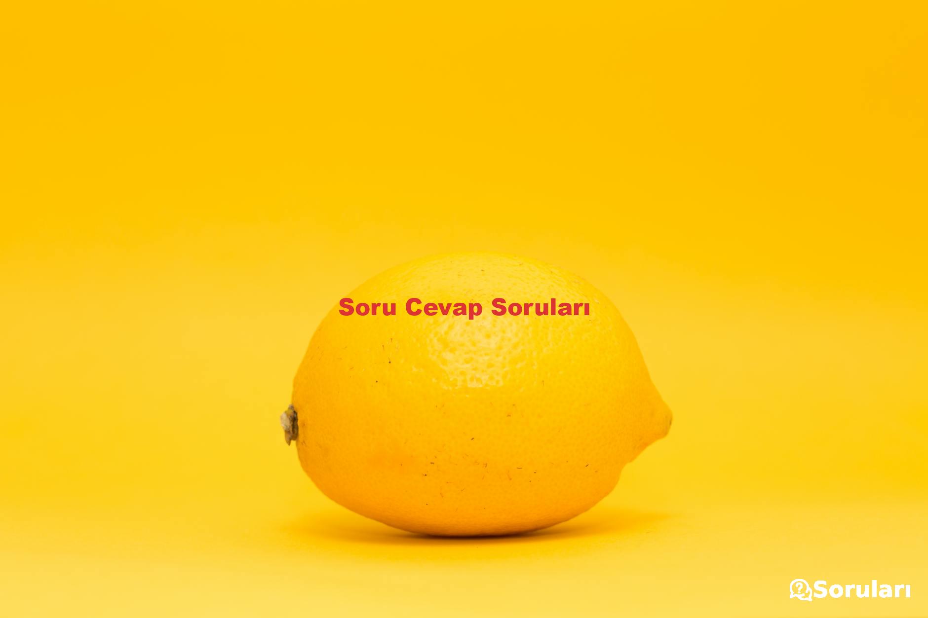 Soru Cevap Soruları