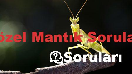 Sözel Mantık Soruları