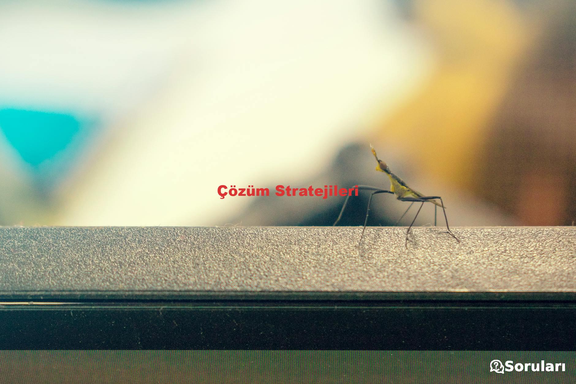 Çözüm Stratejileri