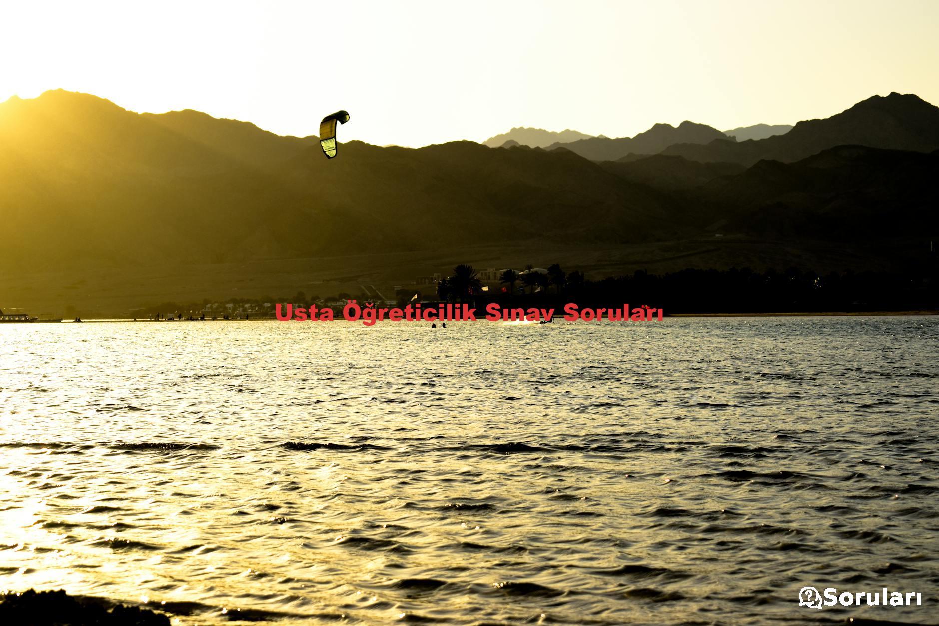 Usta Öğreticilik Sınav Soruları