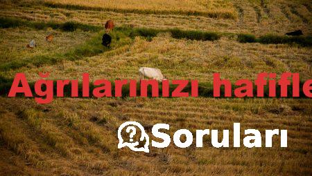 Algoloji nedir? Ağrılarınızı hafifletmenin sırları!