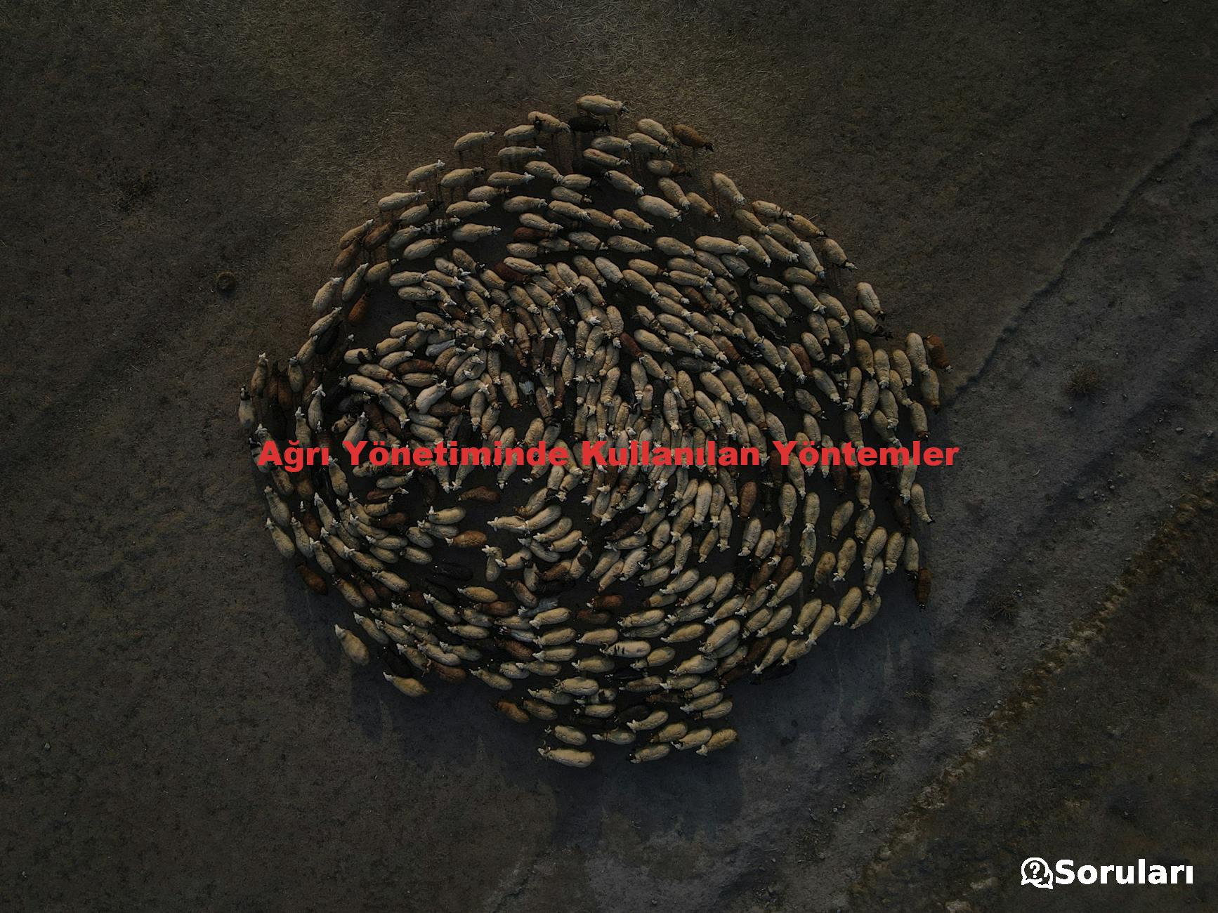 Ağrı Yönetiminde Kullanılan Yöntemler