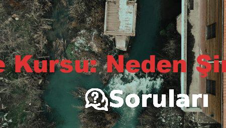 Maltepe’de İngilizce Kursu: Neden Şimdi Başlamalısınız?