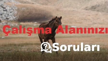 Trimonitör: Çalışma Alanınızı Genişletin!