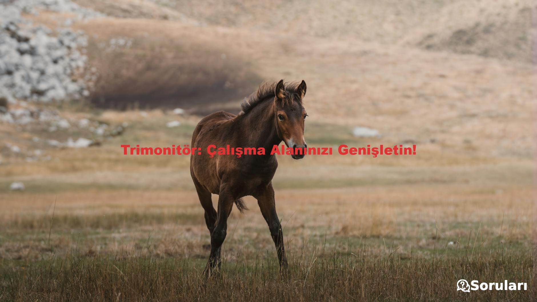 Trimonitör: Çalışma Alanınızı Genişletin!