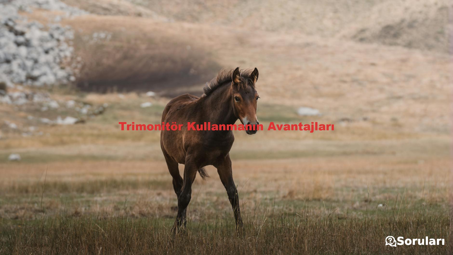 Trimonitör Kullanmanın Avantajları
