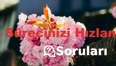 Almanca Öğrenme Sürecinizi Hızlandıracak Stratejiler