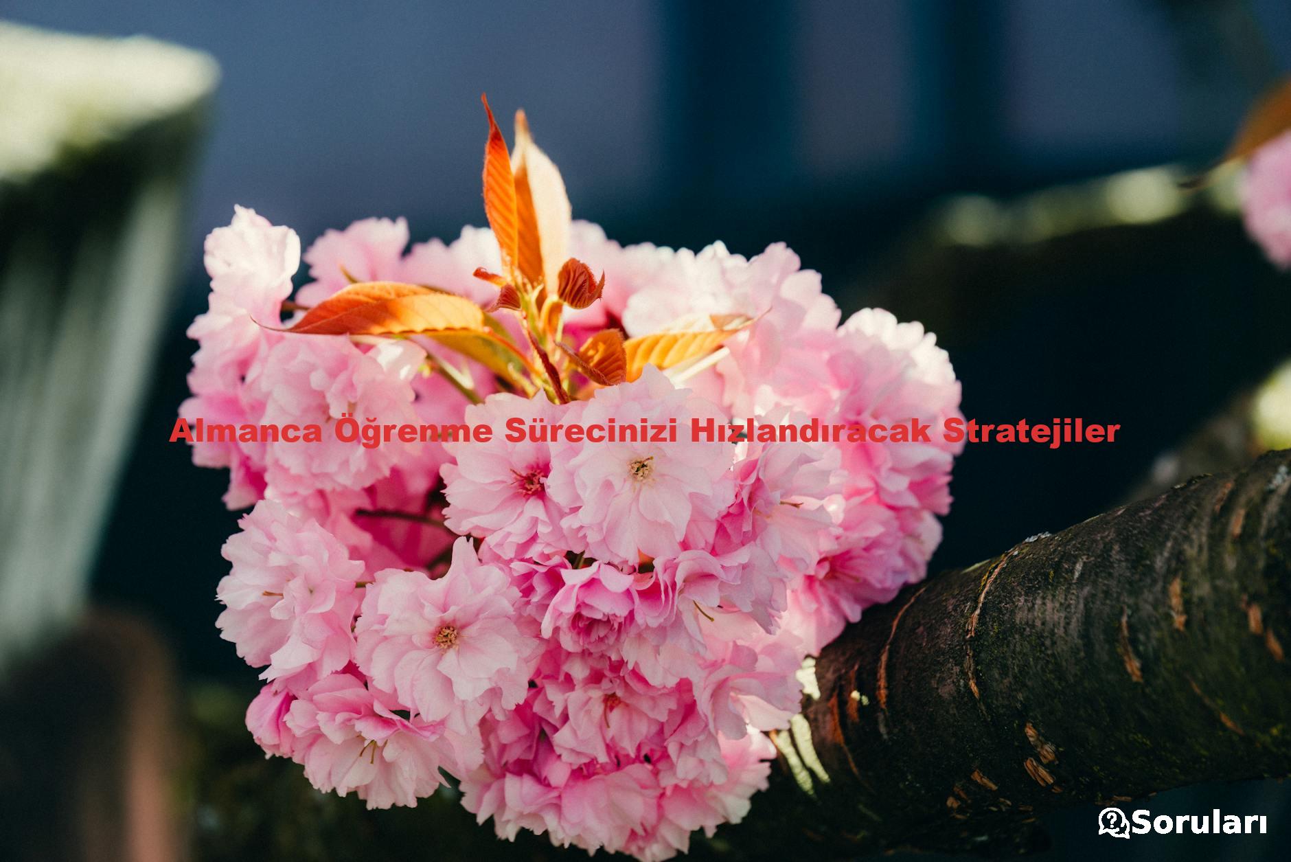 Almanca Öğrenme Sürecinizi Hızlandıracak Stratejiler