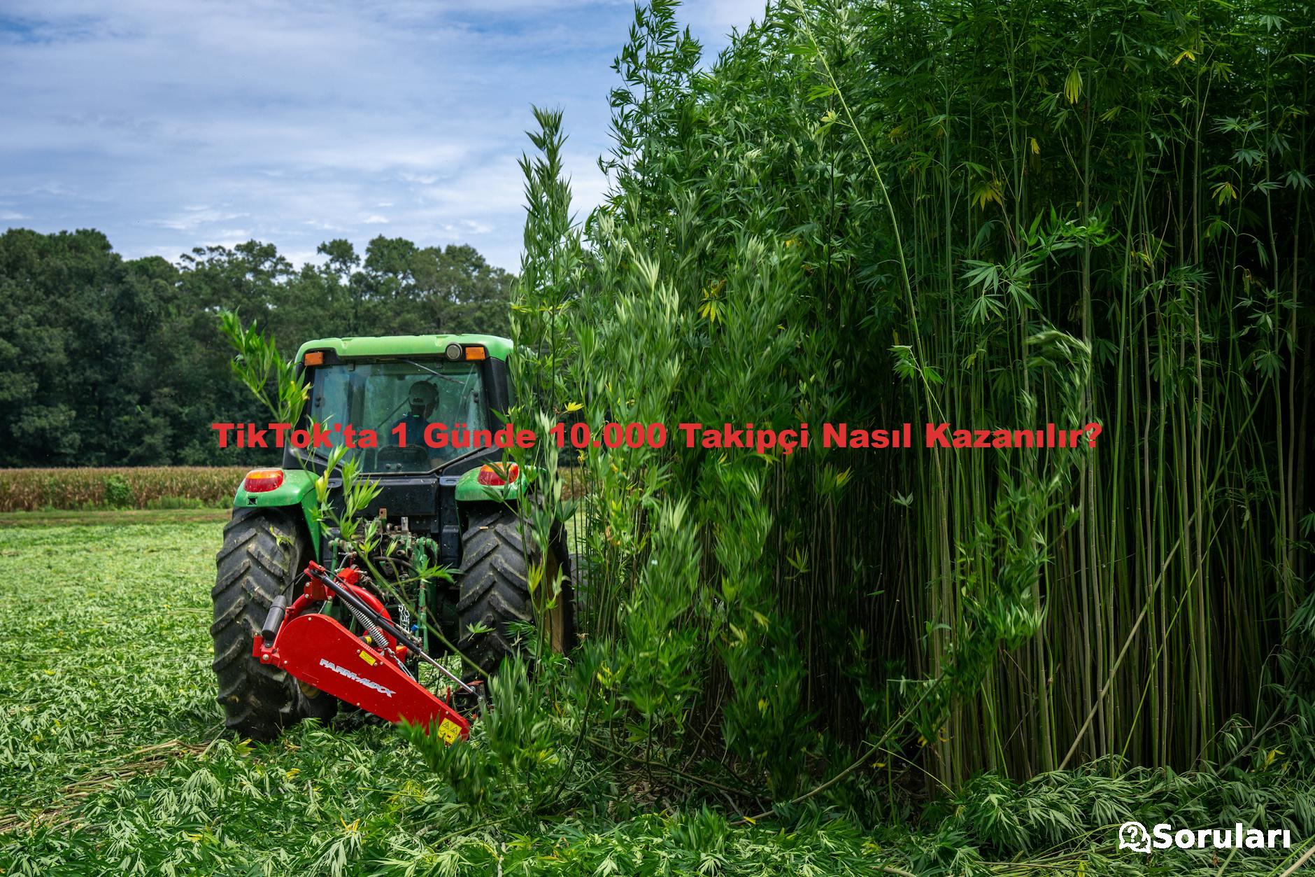 TikTok'ta 1 Günde 10.000 Takipçi Nasıl Kazanılır?