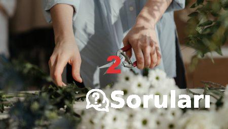 Aksaray’da Çiçek Gönderirken Yapmanız Gerekenler