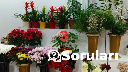 Online Çiçek Gönderiminde Floksia’nın Farkı